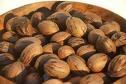 QUALITY SHELLED PECAN NUTS