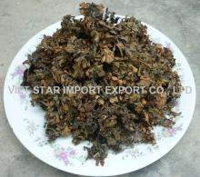 Sargassum Seaweed