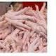 fresh frozen whole chicken and parts(legs,neck..)