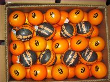 Valencia Oranges