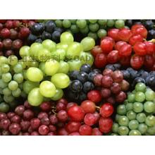 Grape Seed Extract