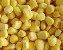 IQF frozen sweet corn