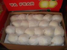  Fresh   Ya   Pear 