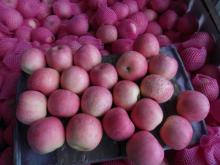 Fresh apple Fuji