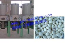 garlic peeling machine