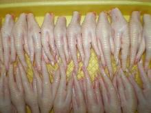 FROZEN  CHICKEN   FEET  / PAW