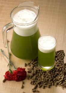 brewed green beer