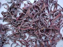 Frozen black fungus strips