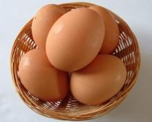 Brown and white shell chicken fresh eggs