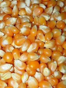  Popcorn 