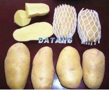 fresh potato