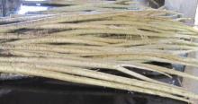 Chinese Fresh burdock
