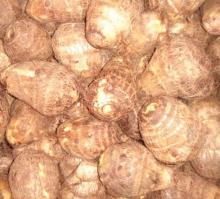 fresh taro