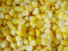 frozen sweet corn kernels(iqf sweet corn kernels)