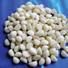  frozen   garlic  dices