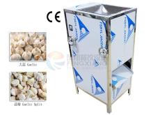 Garlic Separating Machine (without blower)