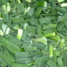IQF scallion pieces(frozen scallion pieces)