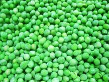 sell frozen green peas in high quality(iqf green peas)