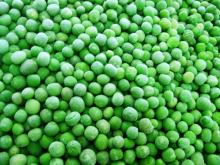 chinese frozen green peas(iqf green peas)