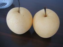 2011 New Fresh EUROPEAN STANDARD Crown Pear