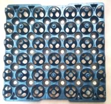 plastic egg tray