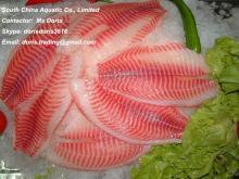 Frozen Tilapia Fillet