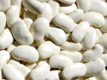 White  Kidney   Bean   Extract 