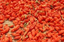 Wolfberry Extract