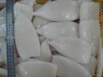 Cleaned squid tubes(todarodes pacificus)