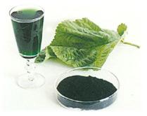 sodium copper  chlorophyllin 