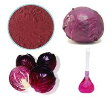  Red   cabbage  color