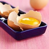 hen egg yolk powder