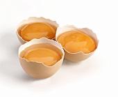  hen  egg white powder