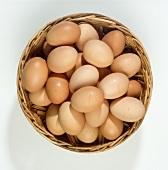 whole egg powder