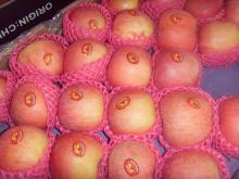 Fresh Red Apple