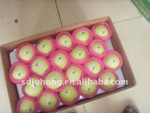 2011 Chinese high quality Golden Delicious Apple