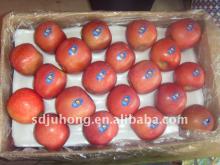 Shaanxi Fuji Apple for export