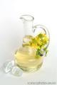 rapeseed oil