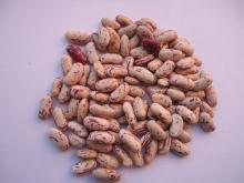 Light speckled kidney beans long shape(Crop 2012)
