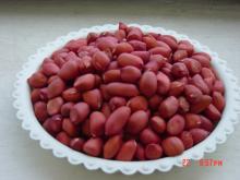  Peanut   kernel s with  red   skin 