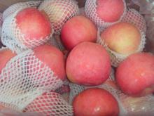 Delicious Red Fuji Apple