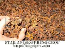Star aniseed  spring   crop 