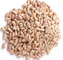 LIGHT SPECKLED KIDNEY BEANS LONG SHAPE