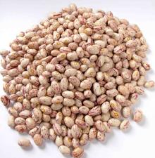 LIGHT SPECKLED KIDNEY BEANS ROUND SHAPE