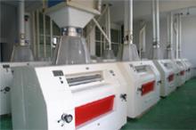 50Ton wheat processing equipment,flour mills