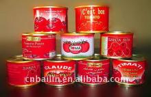 70g*50tins/100tins  tomato   paste  export to Middle East