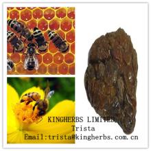 Bee  propolis 
