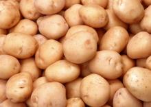 Pakistan Fresh Potato