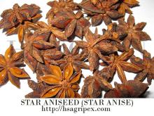 Star aniseed