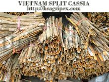 Vietnam split cassia